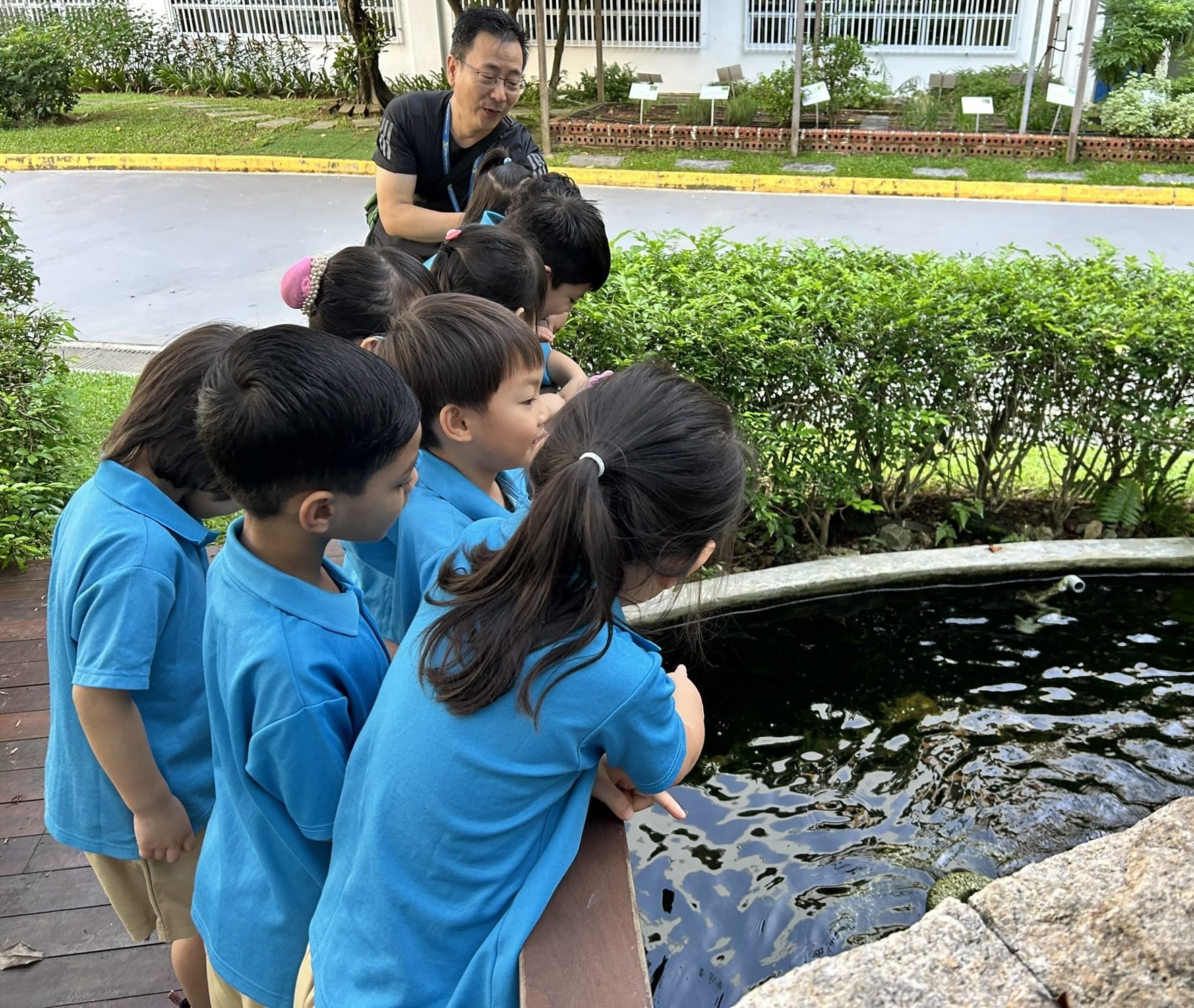 Children learning about plants and animals in the school's garden