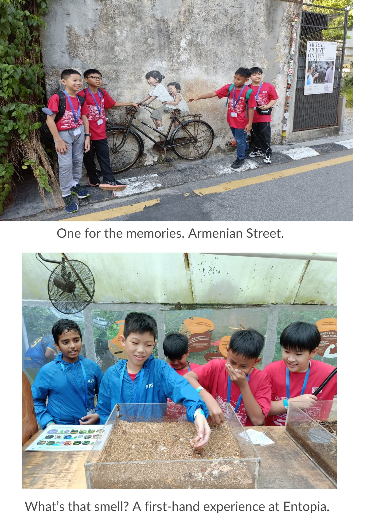 Students in red shirts pose by a bicycle street mural, then examine insect bins at an indoor exhibit.