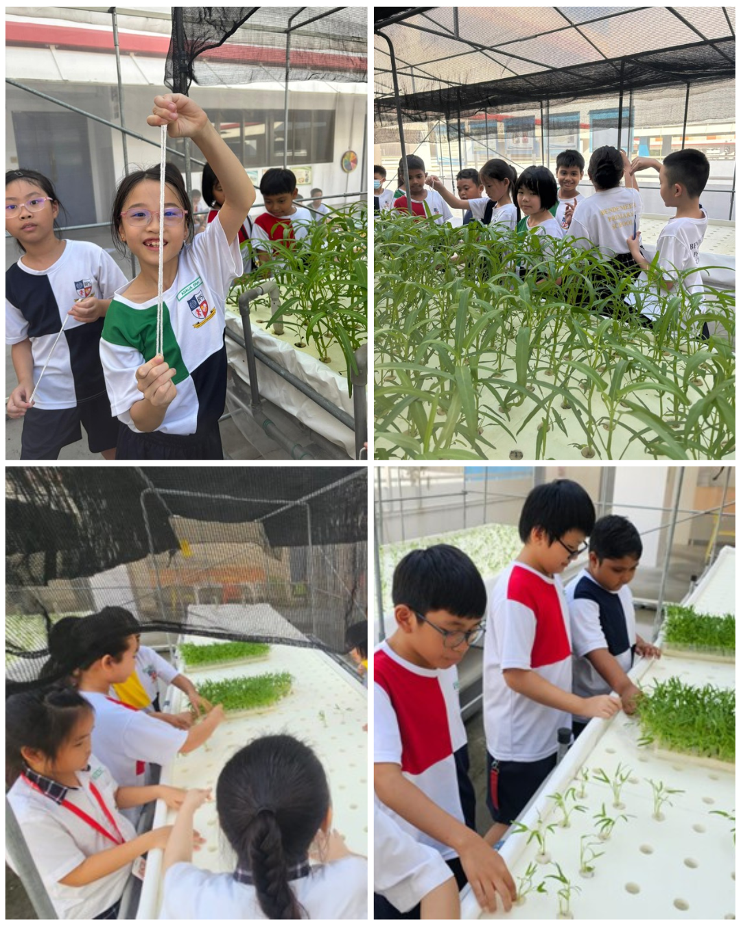 Children in school uniforms explore an outdoor hydroponic garden, examining and tending to seedlings and growing plants.
