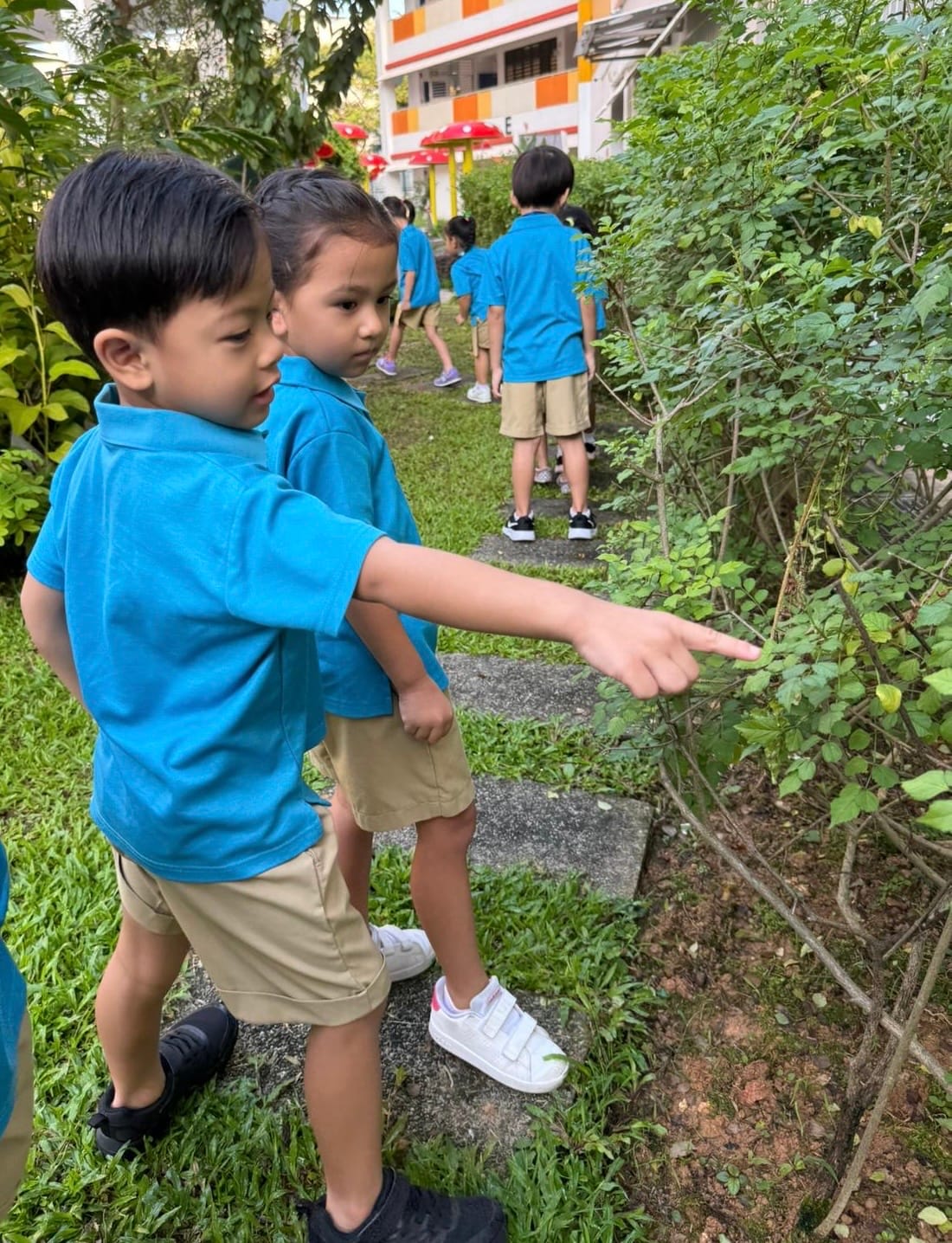 Children learning about plants and animals in the school's garden
