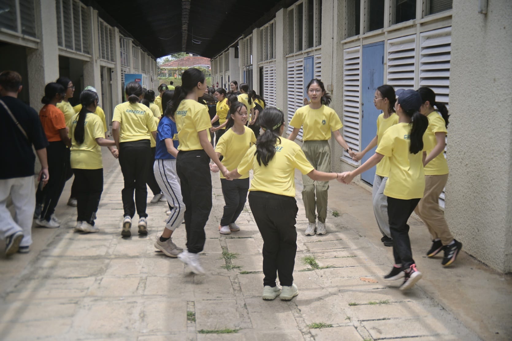 Image 11