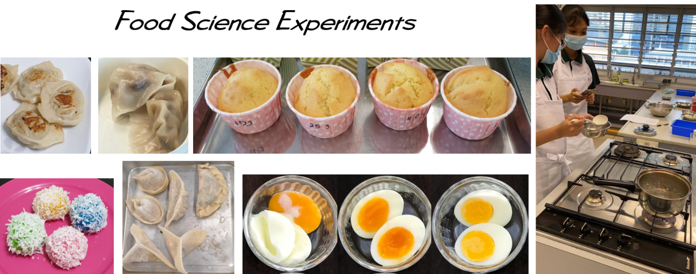 Collage titled Food Science Experiments showing dumplings, cupcakes, boiled eggs, rice balls, and a student cooking.