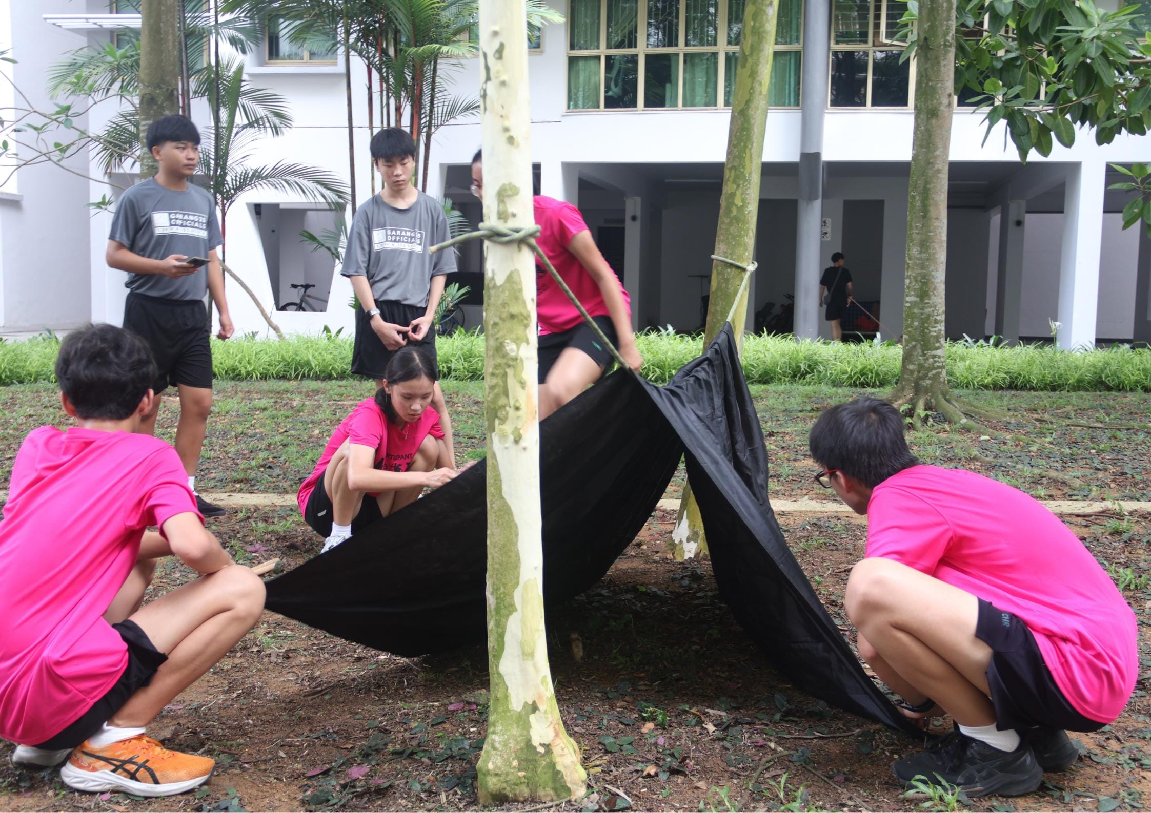 A group of students in pink and grey t-shirts work together to set up a black tarp shelter between trees on a grassy area.