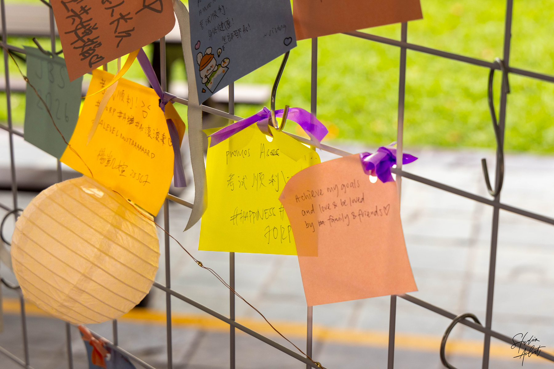 Colorful paper wish notes with handwritten messages in English and Chinese hung on a metal grid with purple ribbons.