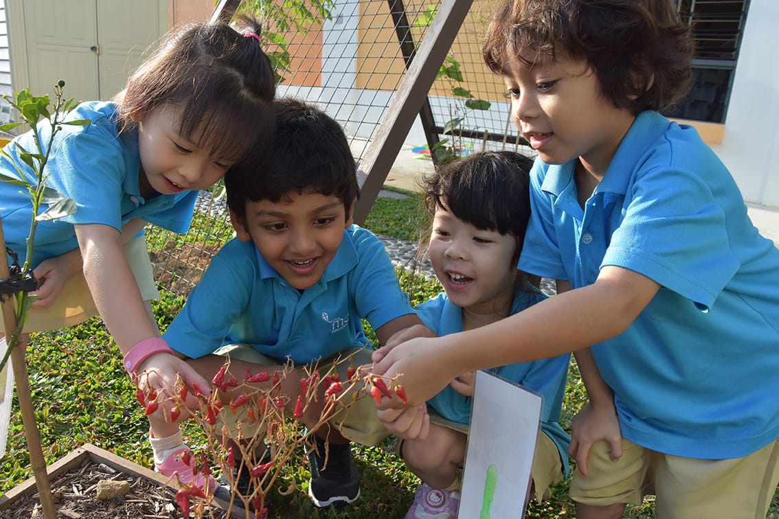 MOE Kindergarten at Oasis Primary School.