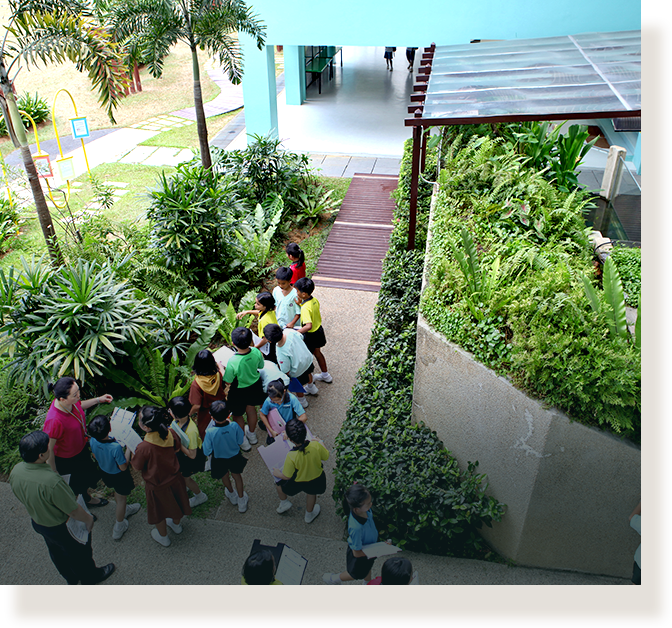 Aerial view of a group of young children and adults gathered on a path surrounded by lush green plants near a building.