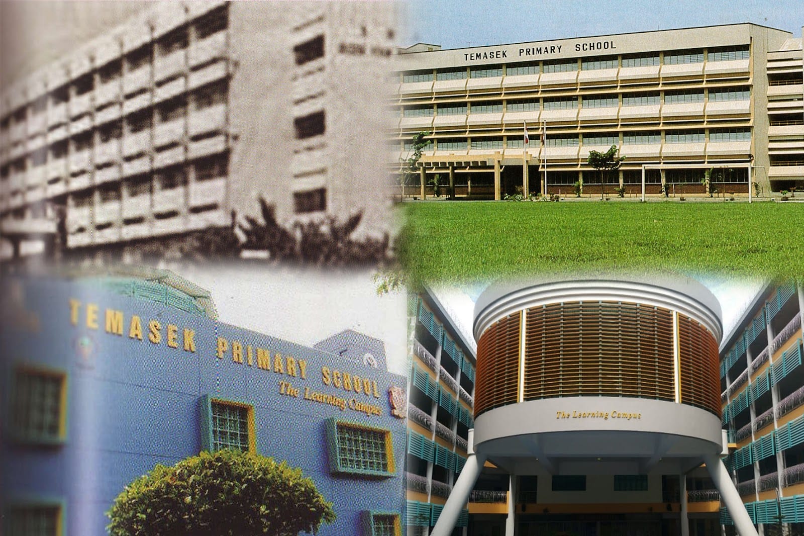 Old and New Buildings of Temasek Primary School