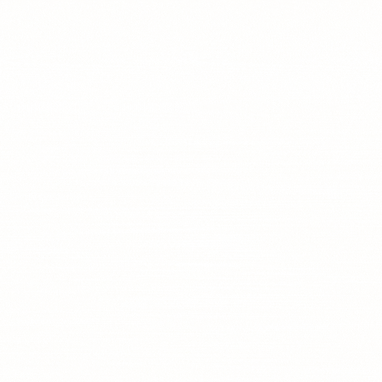 Blank white rectangle with a faint gray dotted pattern.
