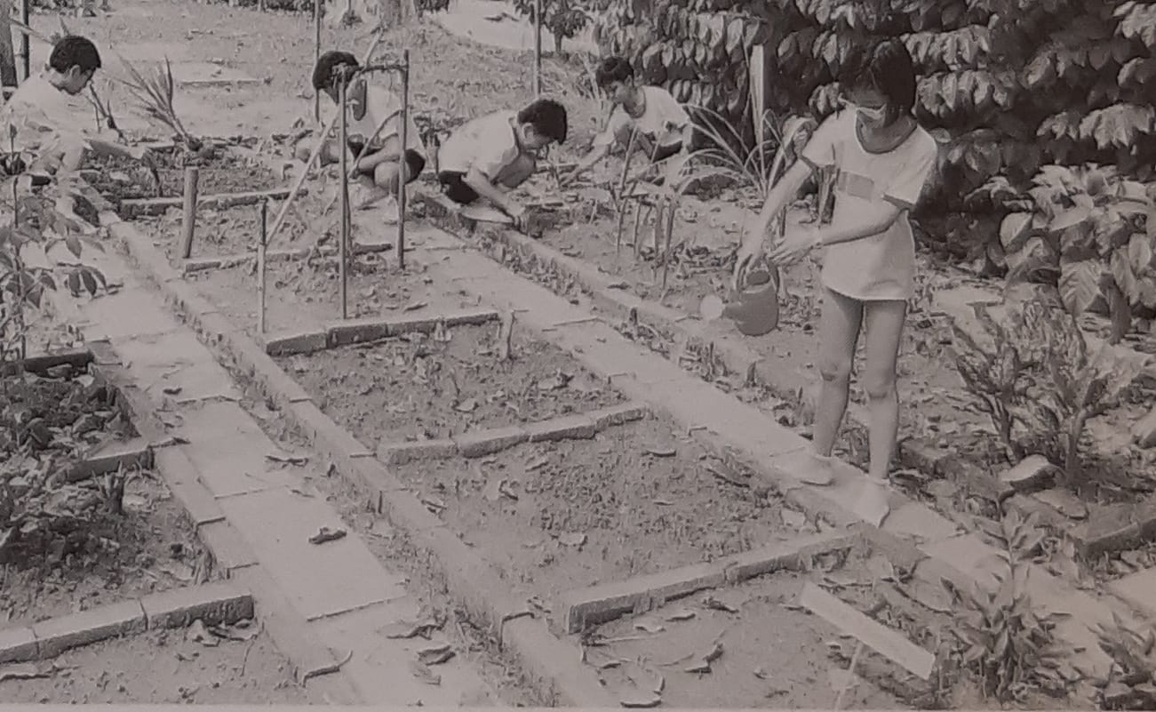 Eco-garden at Mei Chin Primary School (1989).