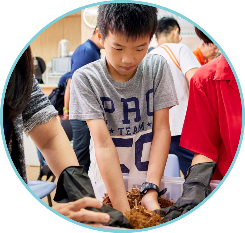 A boy in a gray t-shirt reaches into a plastic bin filled with brown soil or mulch in a classroom.