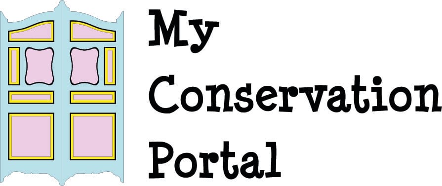 Teal double door with pink and yellow panels beside bold black text reading My Conservation Portal.
