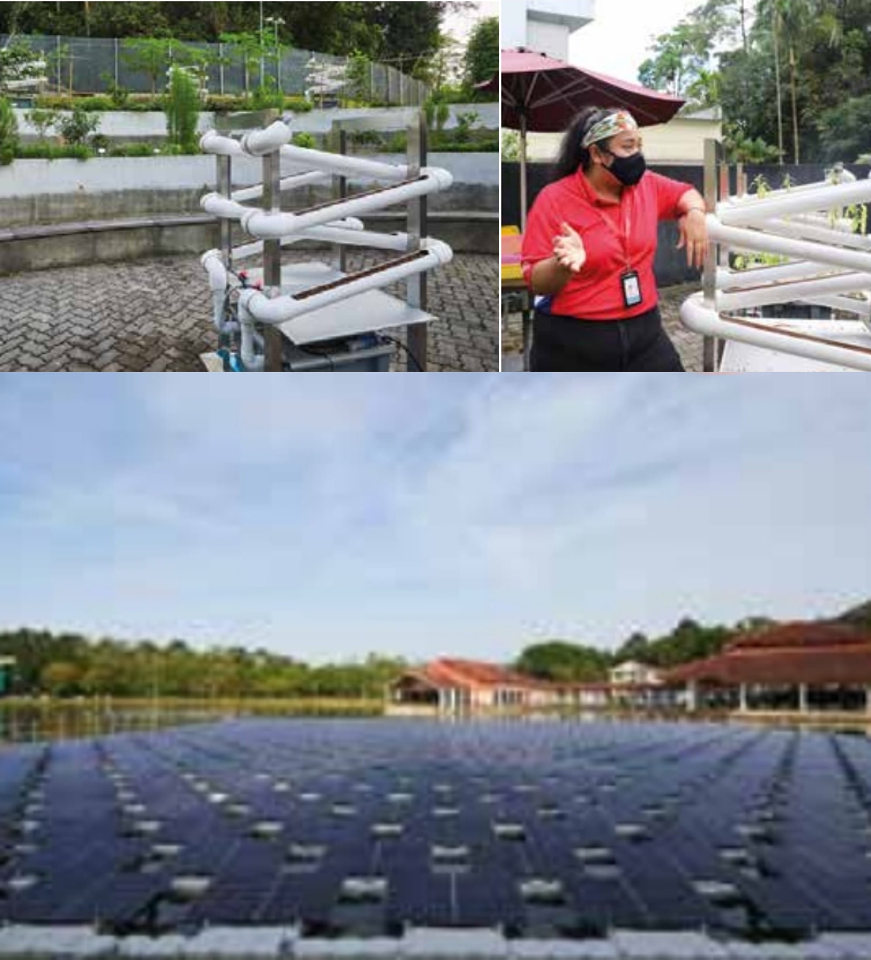 A masked woman in red near white pipes, a hydroponic pipe system, and floating solar panels on water.