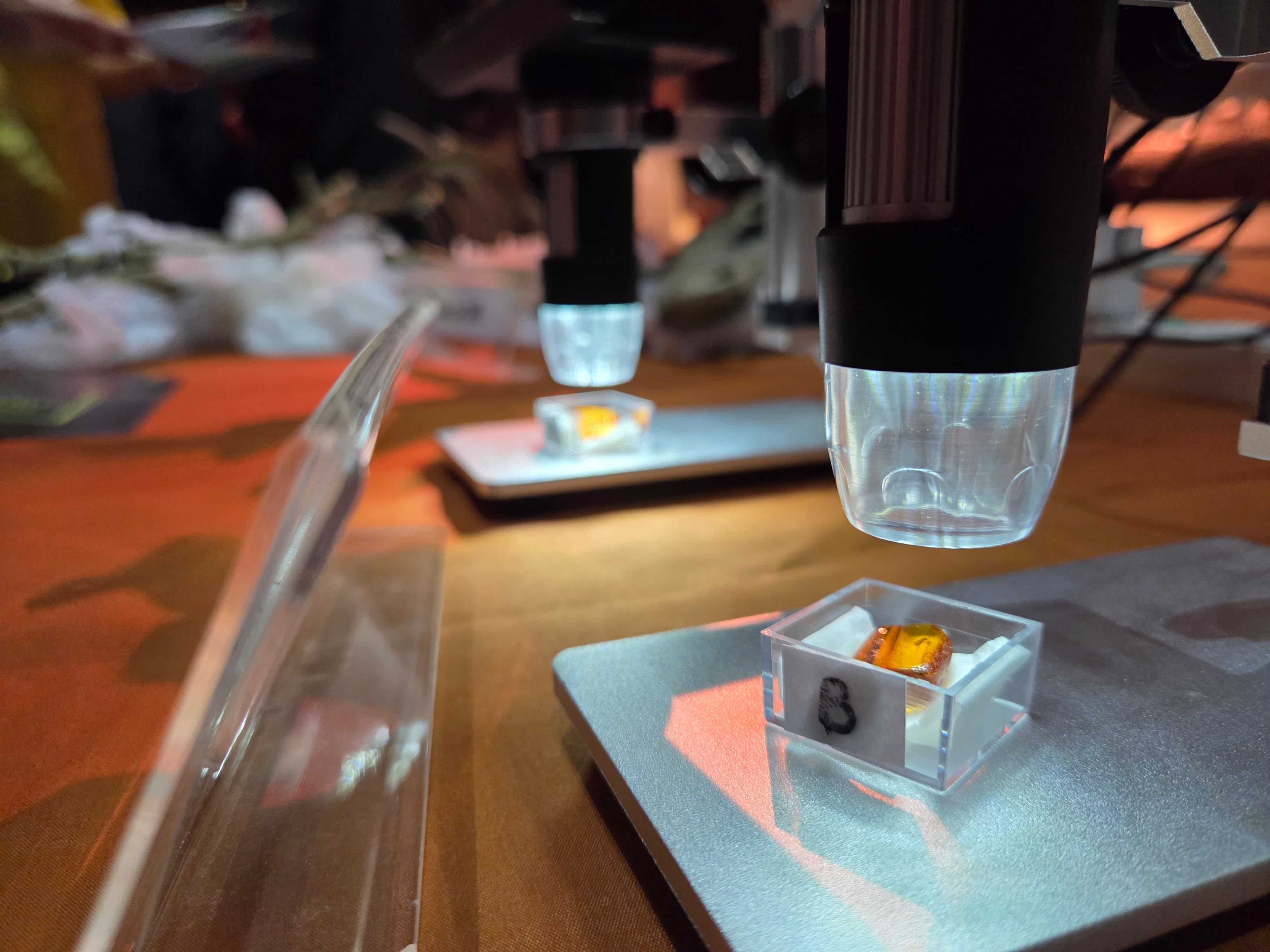 A digital microscope lens pointing down at a small amber specimen in a clear plastic box on a table.