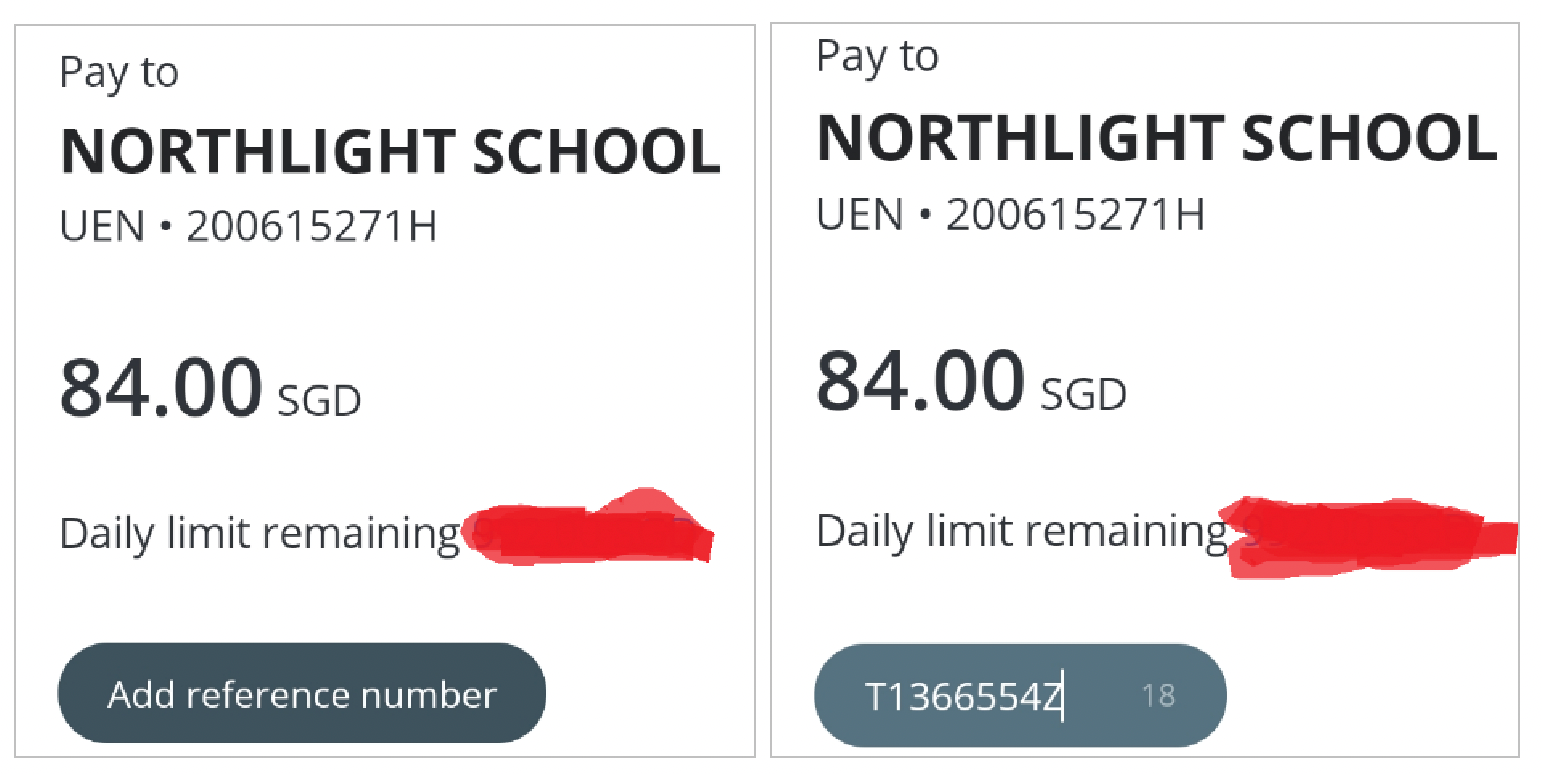 PayNow Instructions
