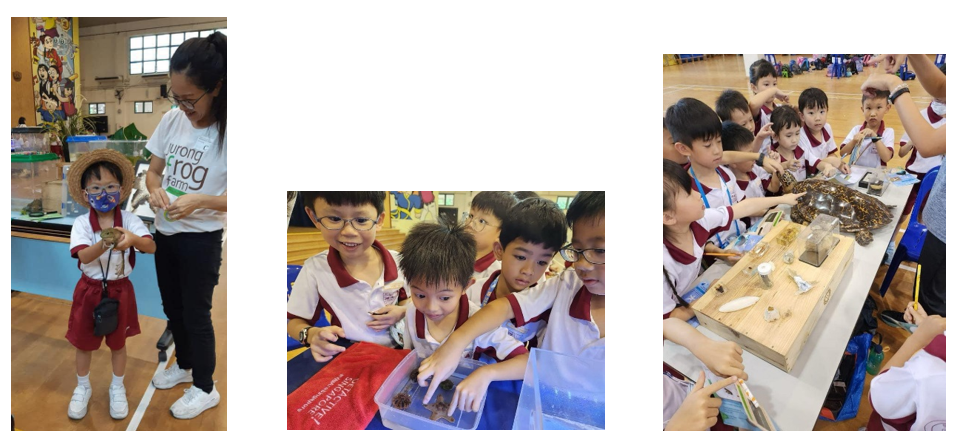 Young children in school uniforms explore animals and nature exhibits, guided by an adult in a Jurong Frog Farm shirt.