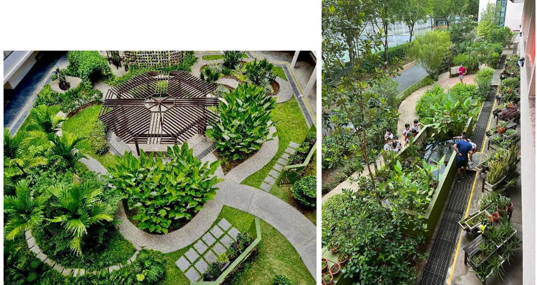 Two garden views: an aerial courtyard with a wooden pergola and lush greenery, and a narrow outdoor corridor with people and plants.