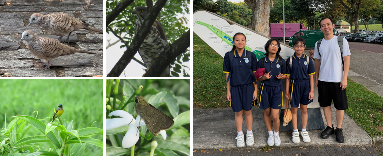 A collage of four nature photos: two zebra doves on a stone ledge, a bird of prey perched among branches, a sunbird on a leafy plant, and a butterfly on a white flower; alongside a group photo of three students and one adult in front of a park map signboard.