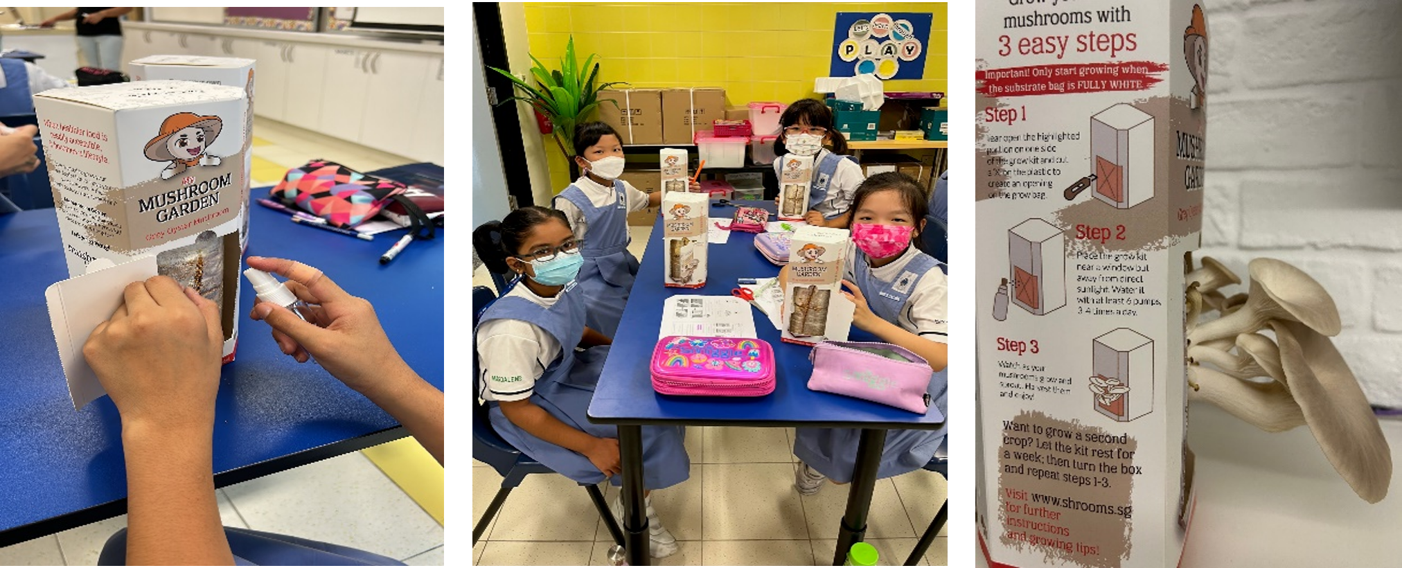 Three masked schoolgirls at a classroom desk hold Mushroom Garden grow kits, with a closeup of kit instructions and grown mushrooms.