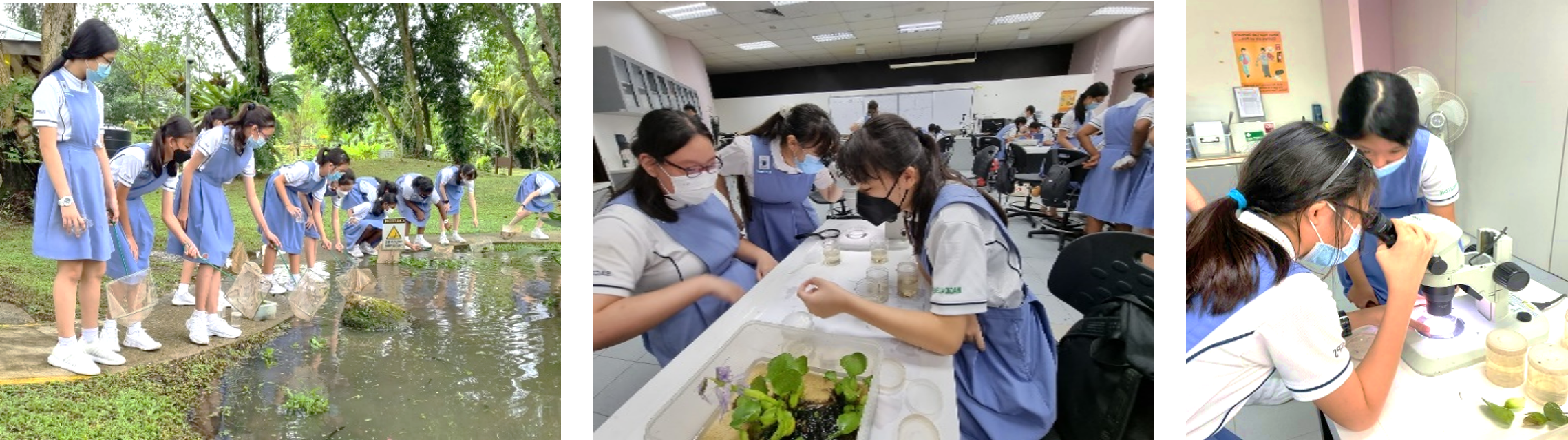 Students in blue uniforms collecting water samples outdoors, examining specimens in a lab, and using a microscope.