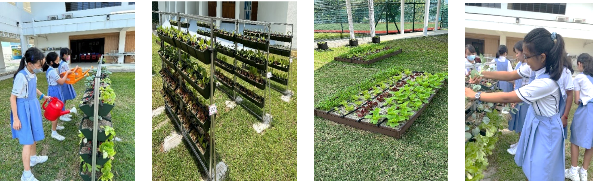 School girls in blue uniforms water and tend plants in vertical racks and raised garden beds outdoors.