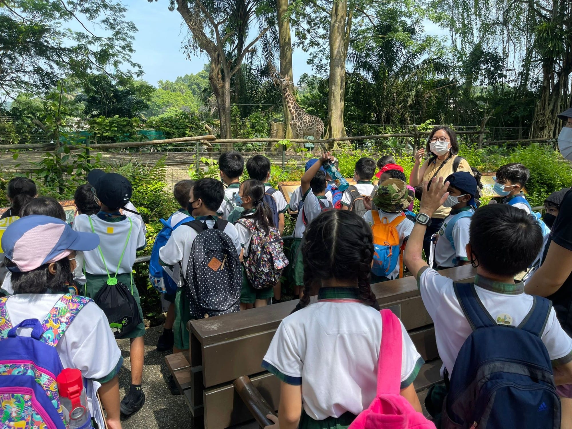 A group of schoolchildren with backpacks gather at a zoo enclosure while a guide speaks, with a giraffe visible behind the fence.