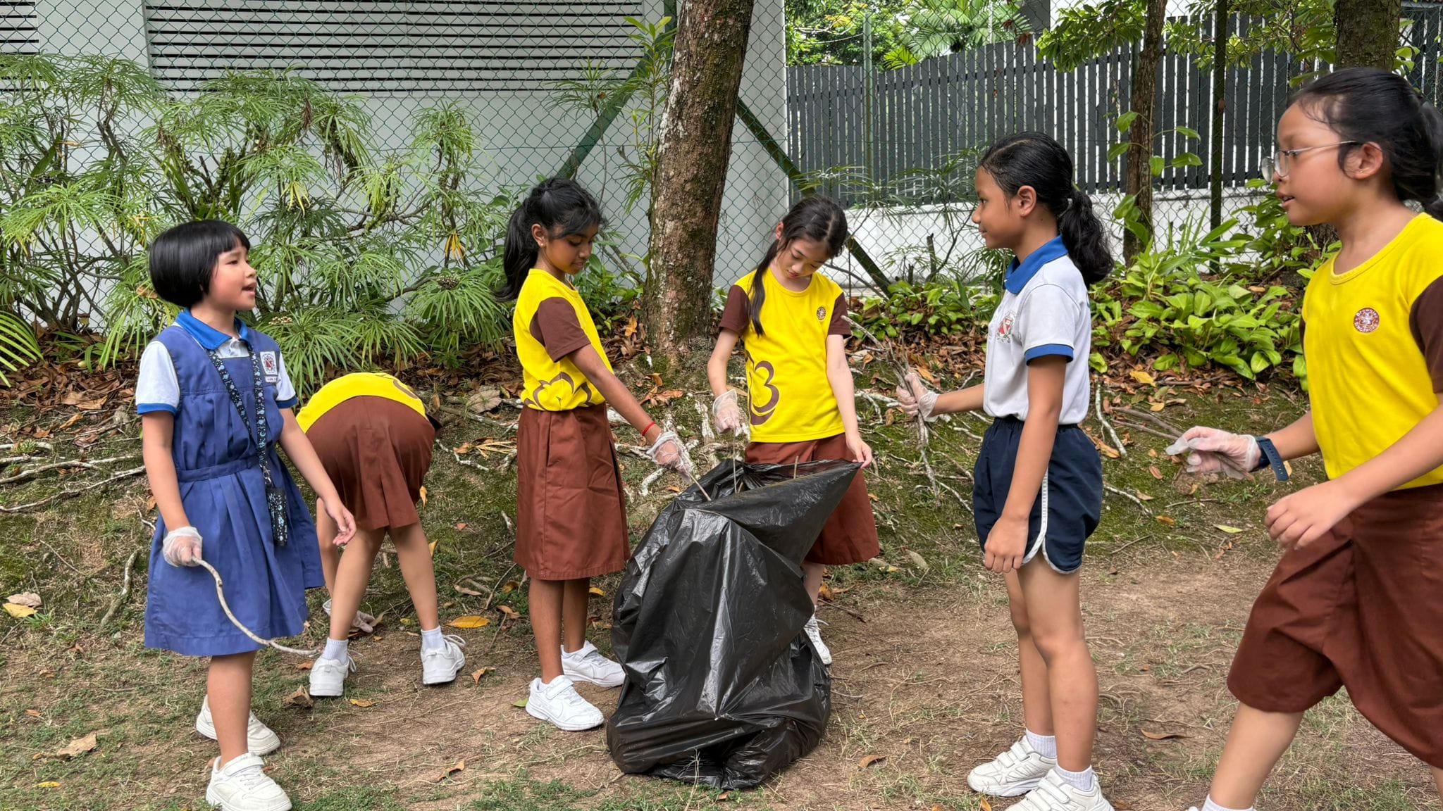 Brownies doing activities