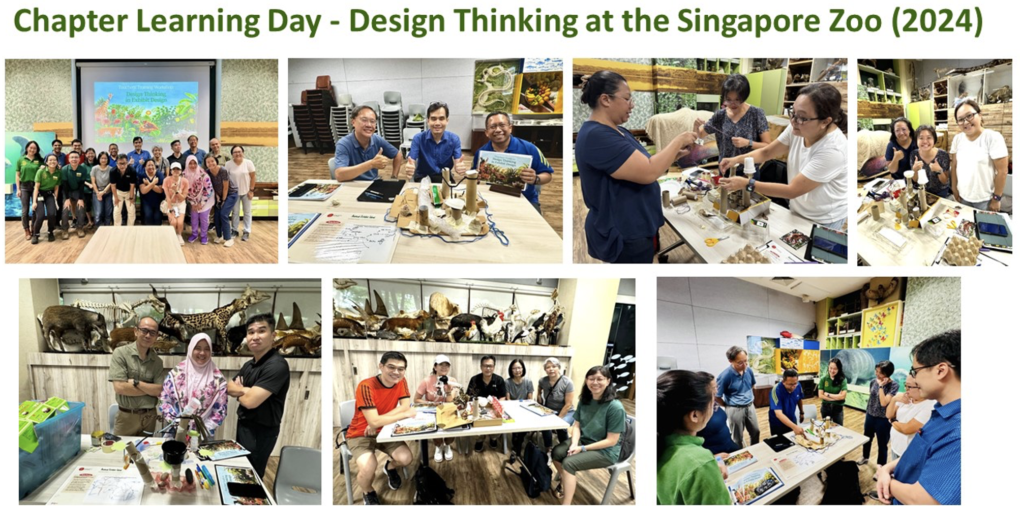 Collage of participants at a 2024 Design Thinking workshop at Singapore Zoo, building models and posing in groups.