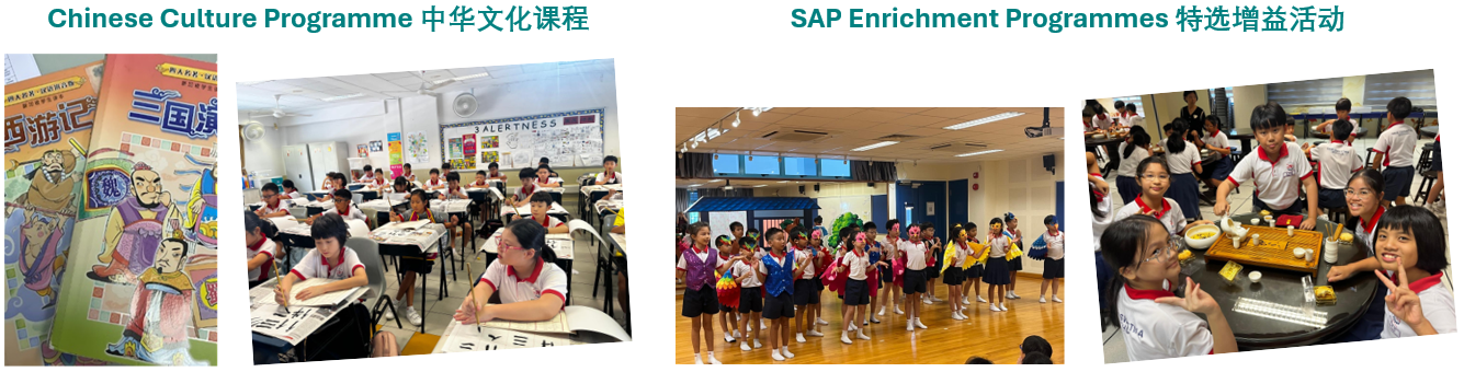 1st image: Chinese literature books promoting reading and cultural appreciation. 2nd image: Students experiencing Chinese culture through calligraphy writing. 3rd and 4th images: Students experiencing Chinese culture through hands-on activities tailored to their levels.