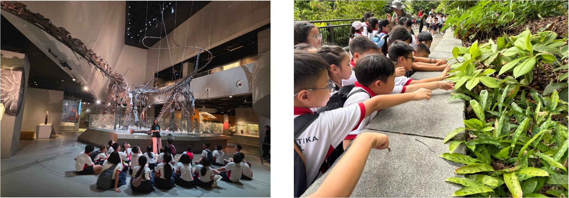 1st image: Students sitting in front of a display of dinosaur fossils and listening to a docent. 2nd image: Students reaching out to touch the leaves grown in front of them.