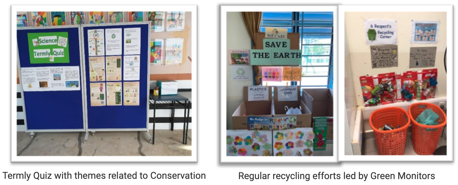 Two school displays: a Science Termly Quiz board and a Save the Earth recycling corner with labeled collection boxes.