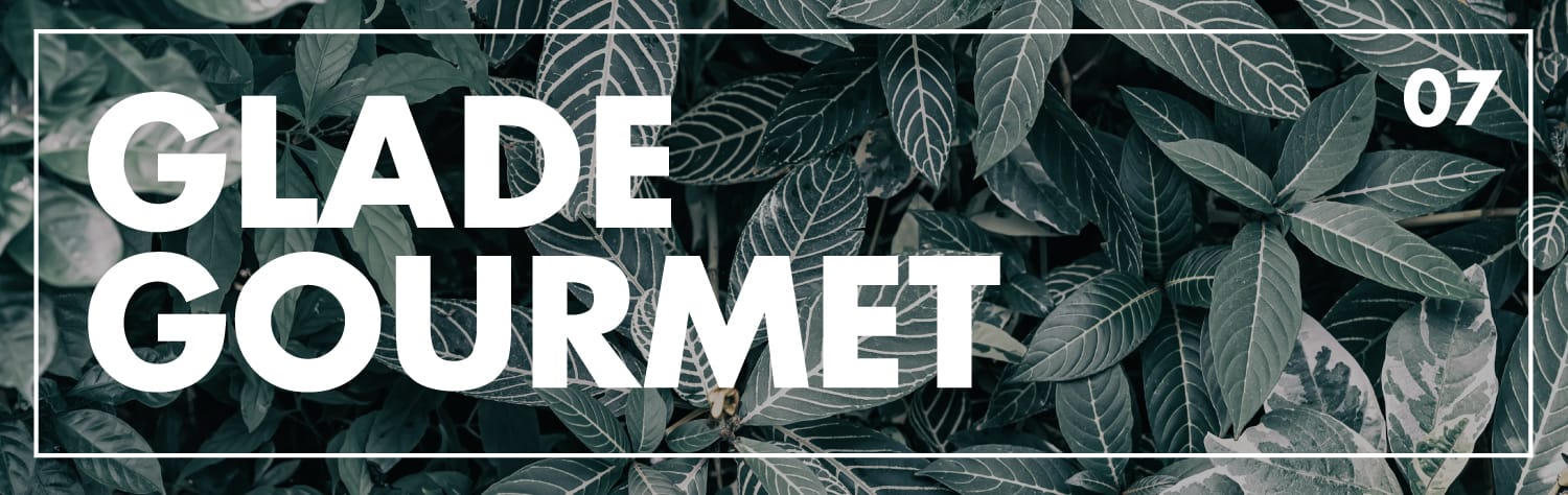 Banner reading Glade Gourmet 07 in bold white text over a dark green tropical leaf background.