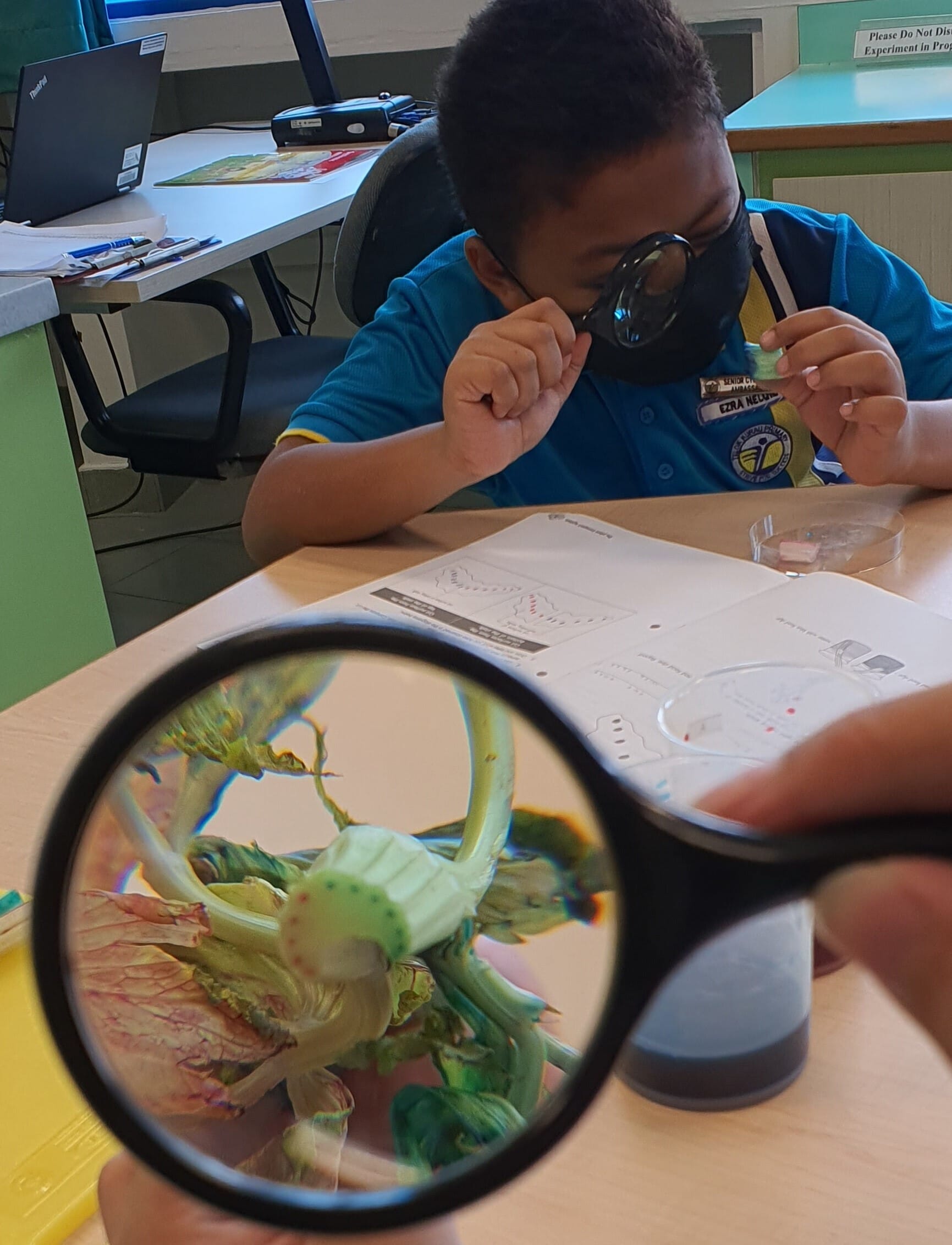 A boy wearing goggles examines a plant specimen at a desk while a magnifying glass in the foreground shows the plant up close.