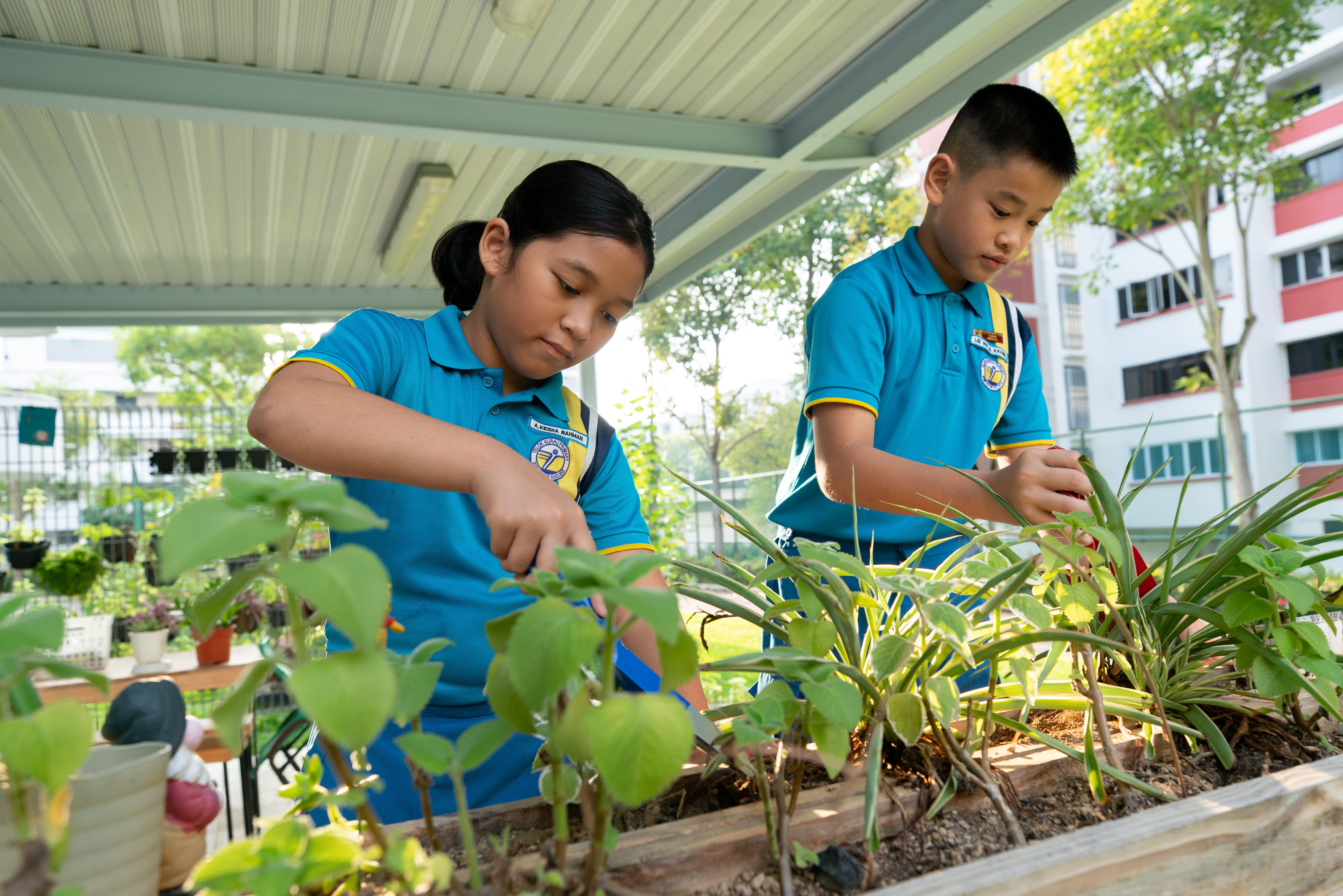 Two children in blue school uniforms tend to plants in a raised garden bed under a sheltered outdoor area.