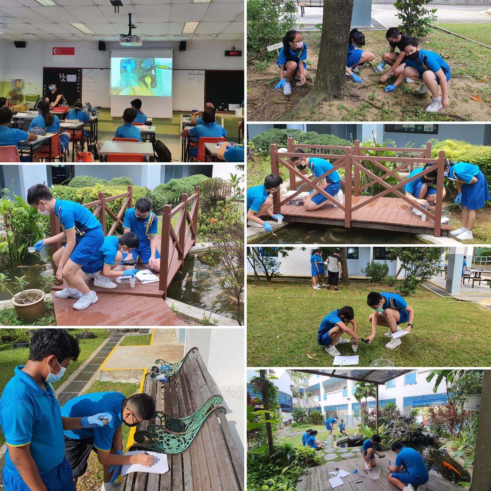 Students in blue uniforms conduct outdoor science fieldwork in gardens and near ponds, and attend a classroom lesson.