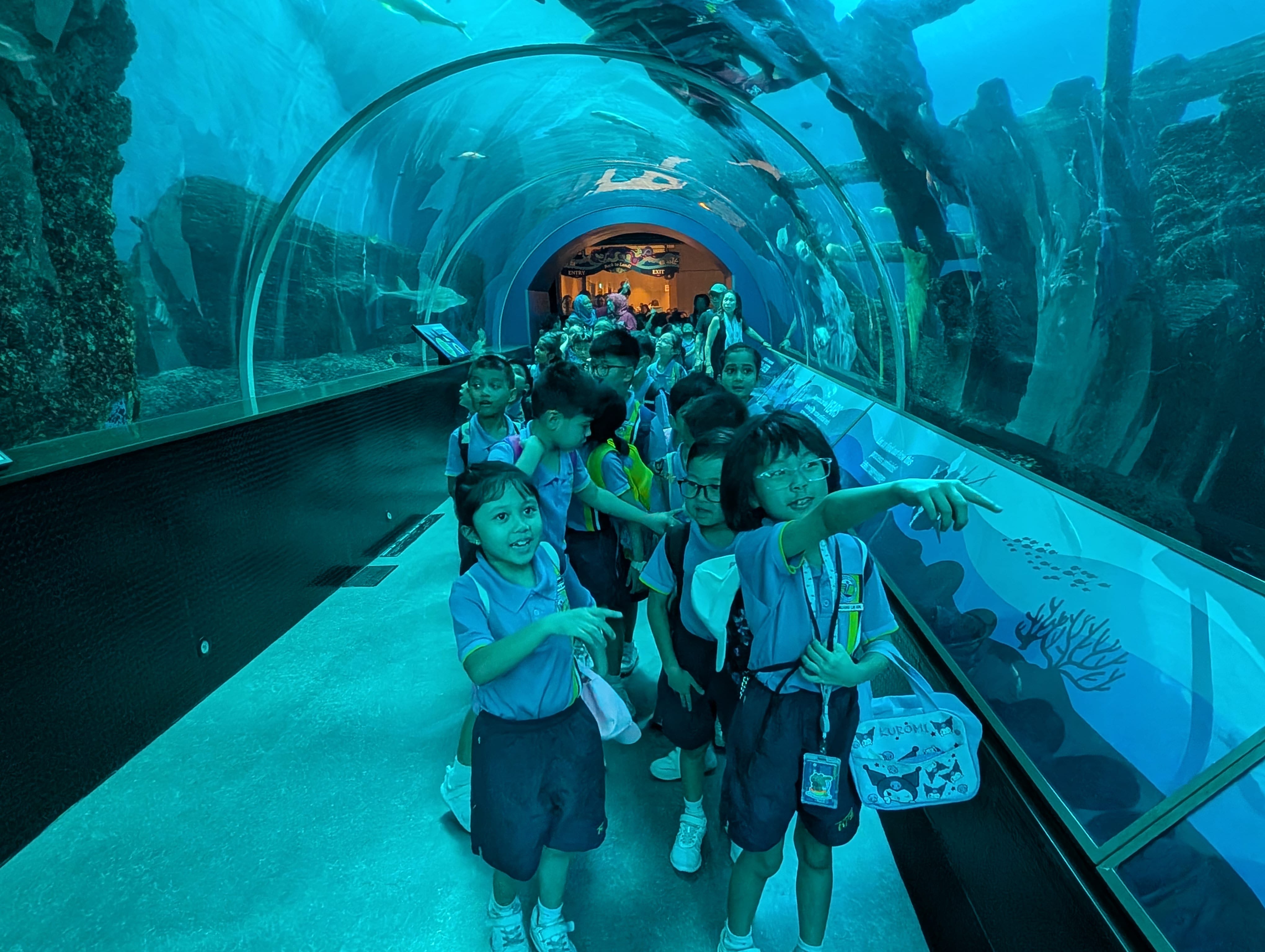 Children in school uniforms walk through a curved glass aquarium tunnel surrounded by blue water and marine life.