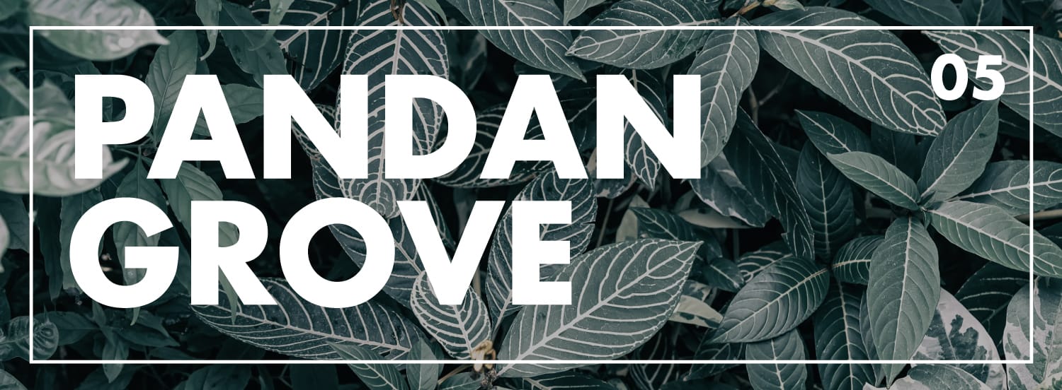 Bold white text reading "Pandan Grove 05" overlaid on a close-up of dark green leaves with white veins.