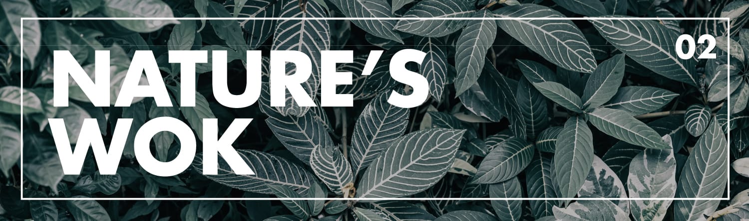 Banner reading Nature's Wok 02 in bold white text over a dark green leafy plant background.