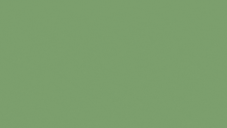 Solid muted green background with subtle texture and a slightly darker strip along the bottom edge.