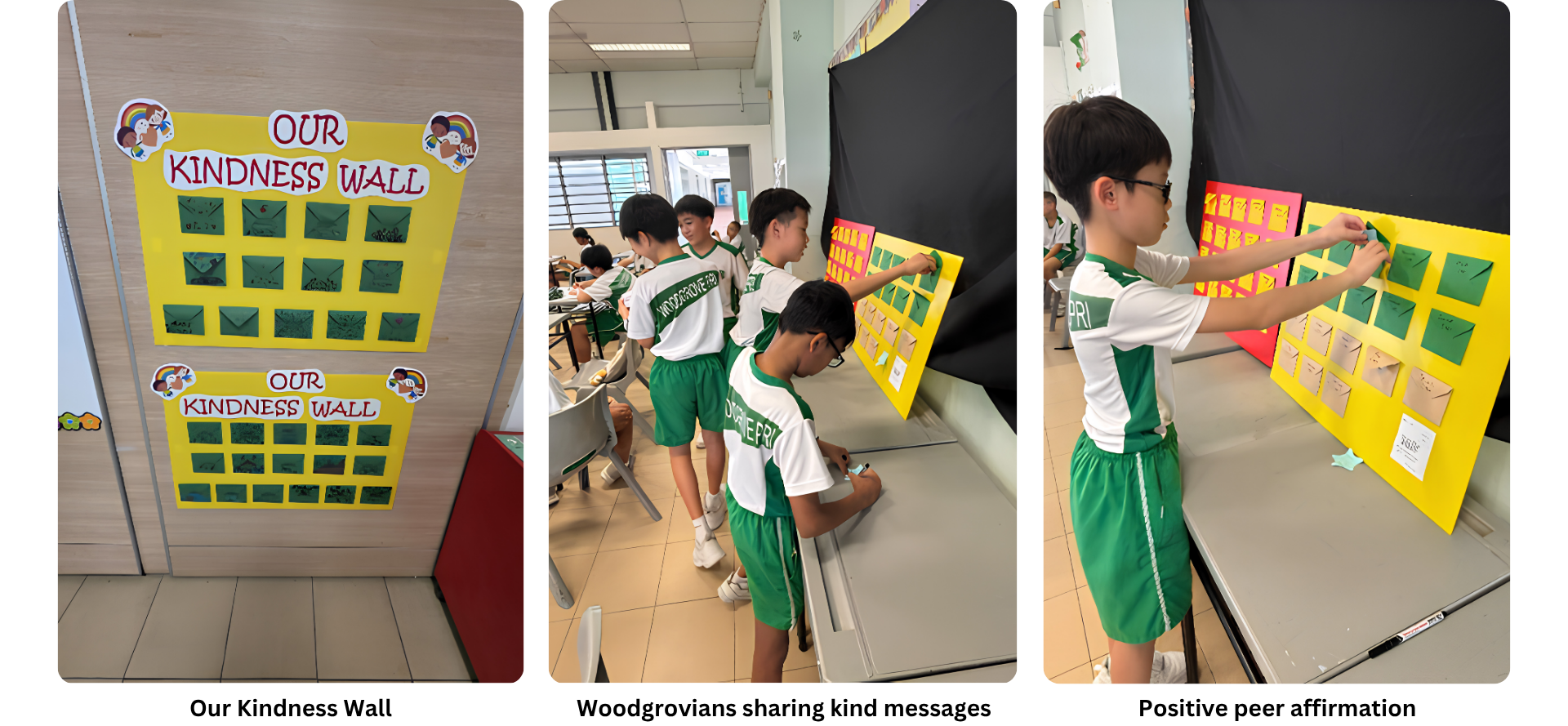 Domains of peer support in Woodgrove