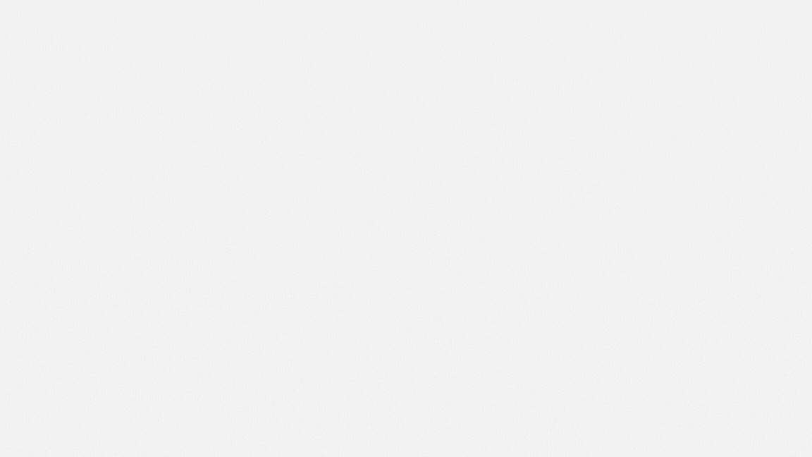 Plain light gray background with a thin black border along the bottom edge.
