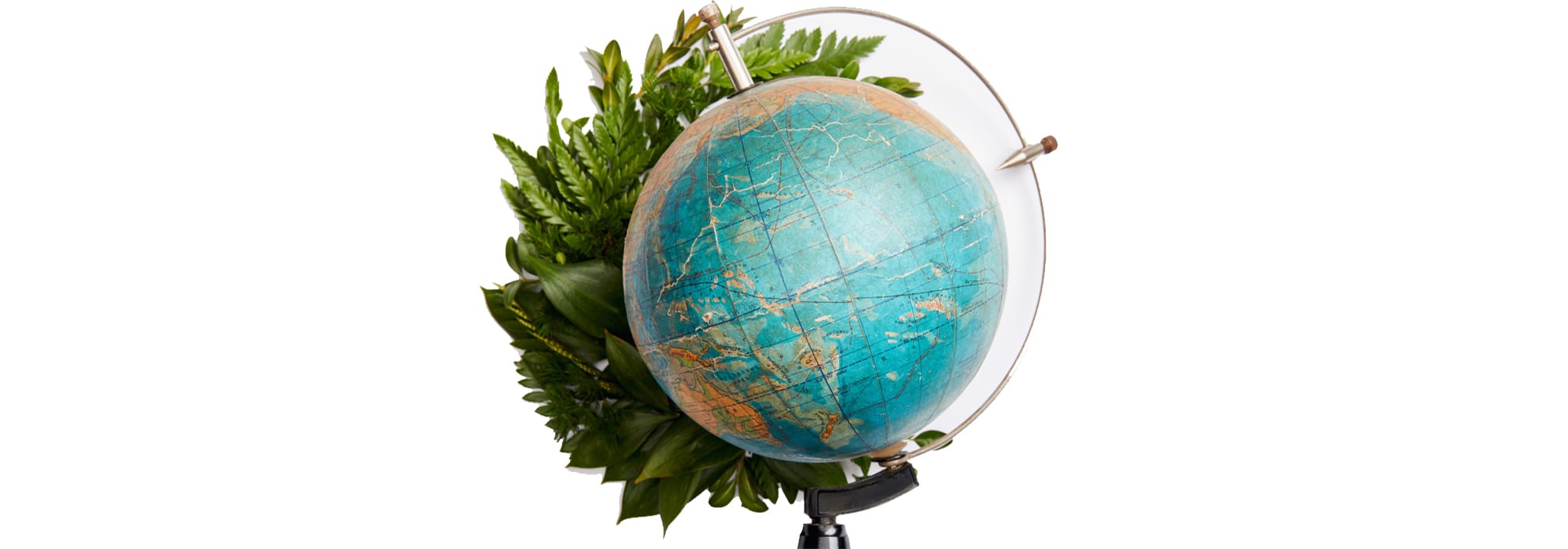 A vintage blue world globe on a stand surrounded by green fern and leafy plants on a white background.