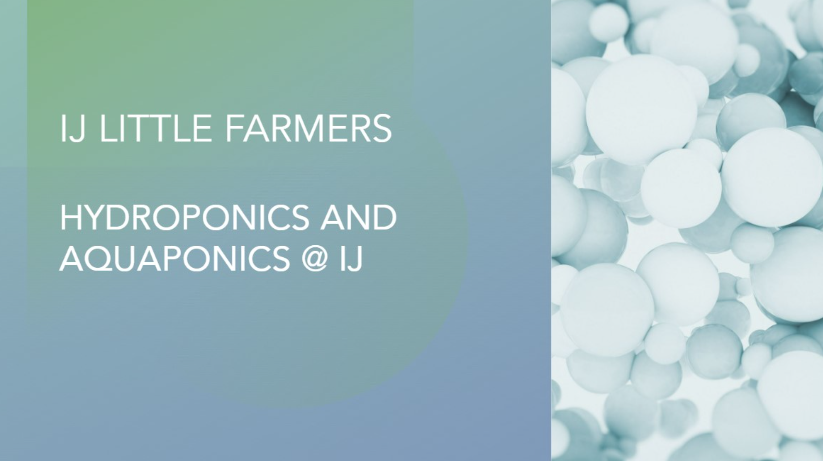 Hydroponics and Aquaponics in school