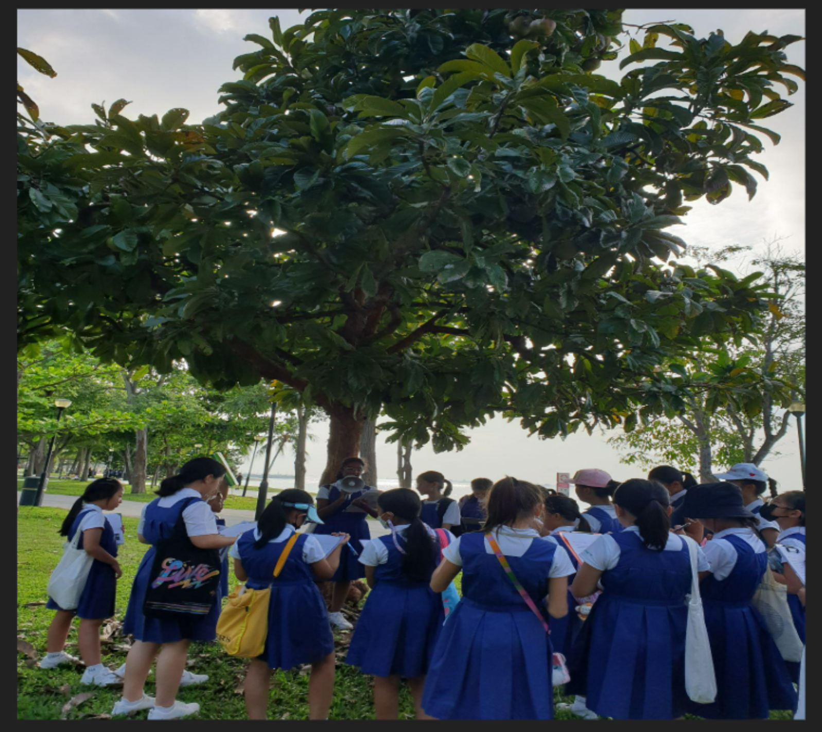 Students having Science lesson conducted at East Coast Park