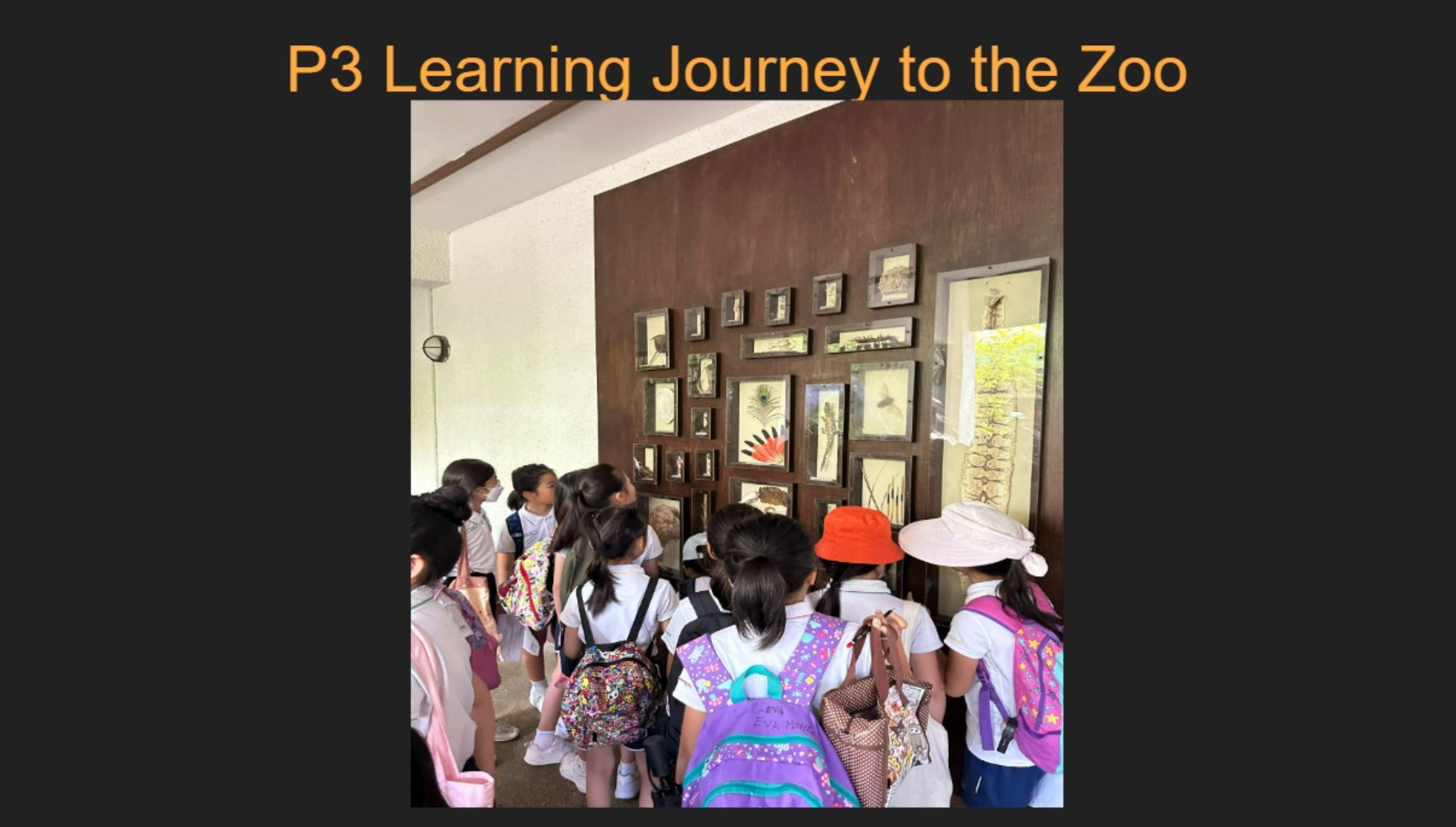 Primary 3 learning journey to the Singapore Zoo