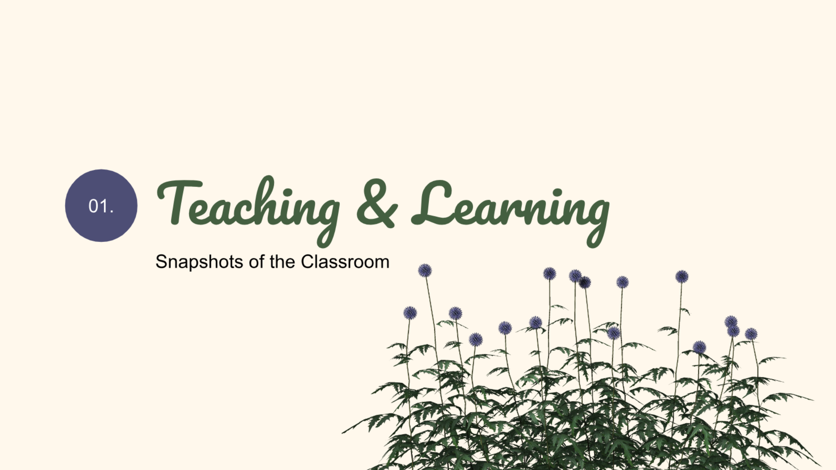 Teaching and Learning, snippets of classroom