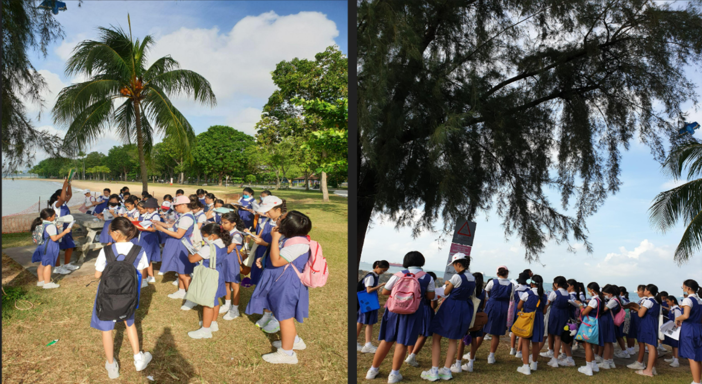 Students having Science lesson at East Coast Park