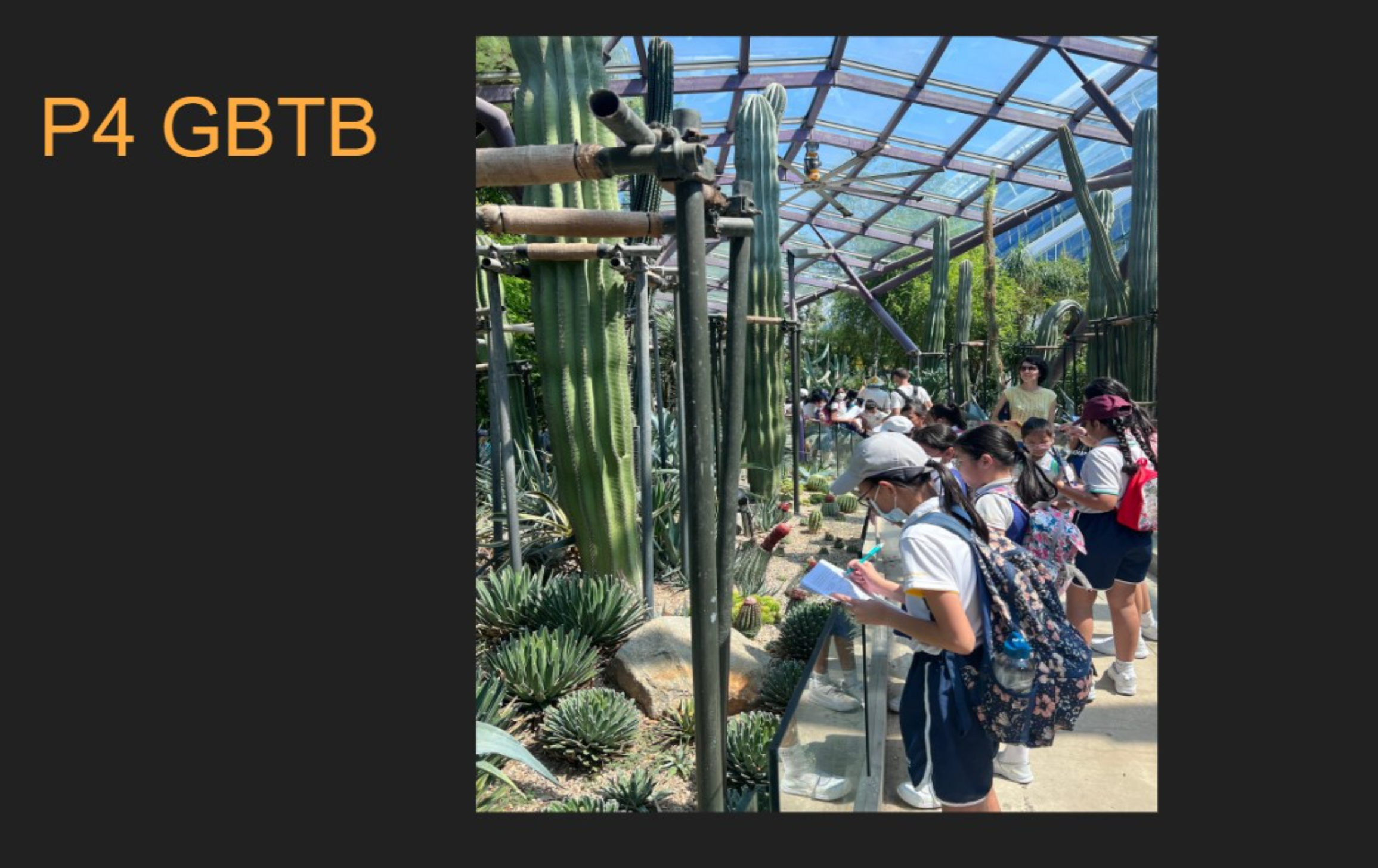 Primary 4 learning journey to Gardens By The Bay