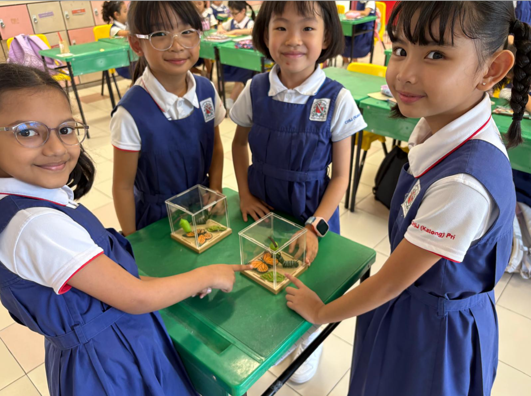 Learning comes alive through hands-on exploration