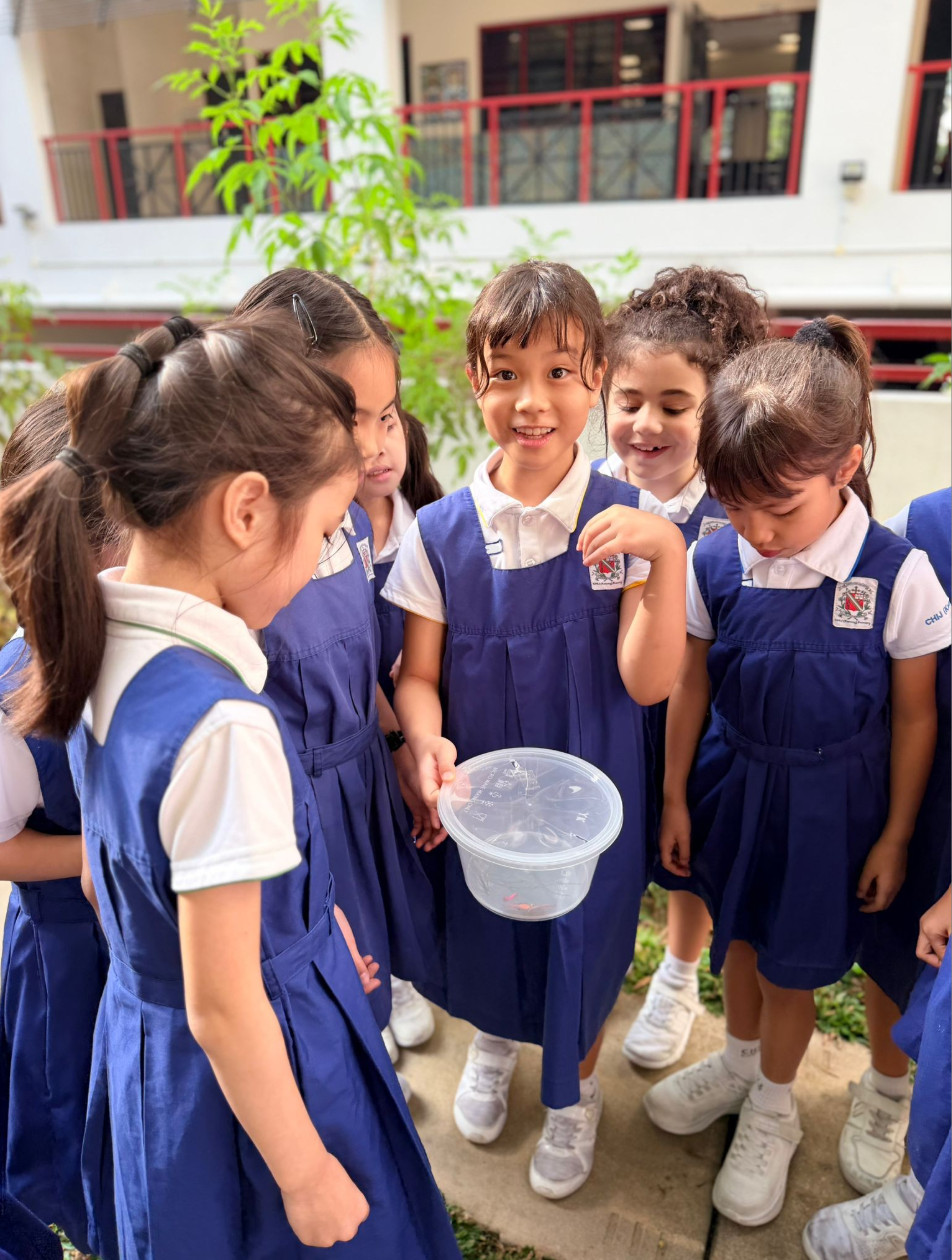 Students observe a butterfly up close, connecting learning to real life
