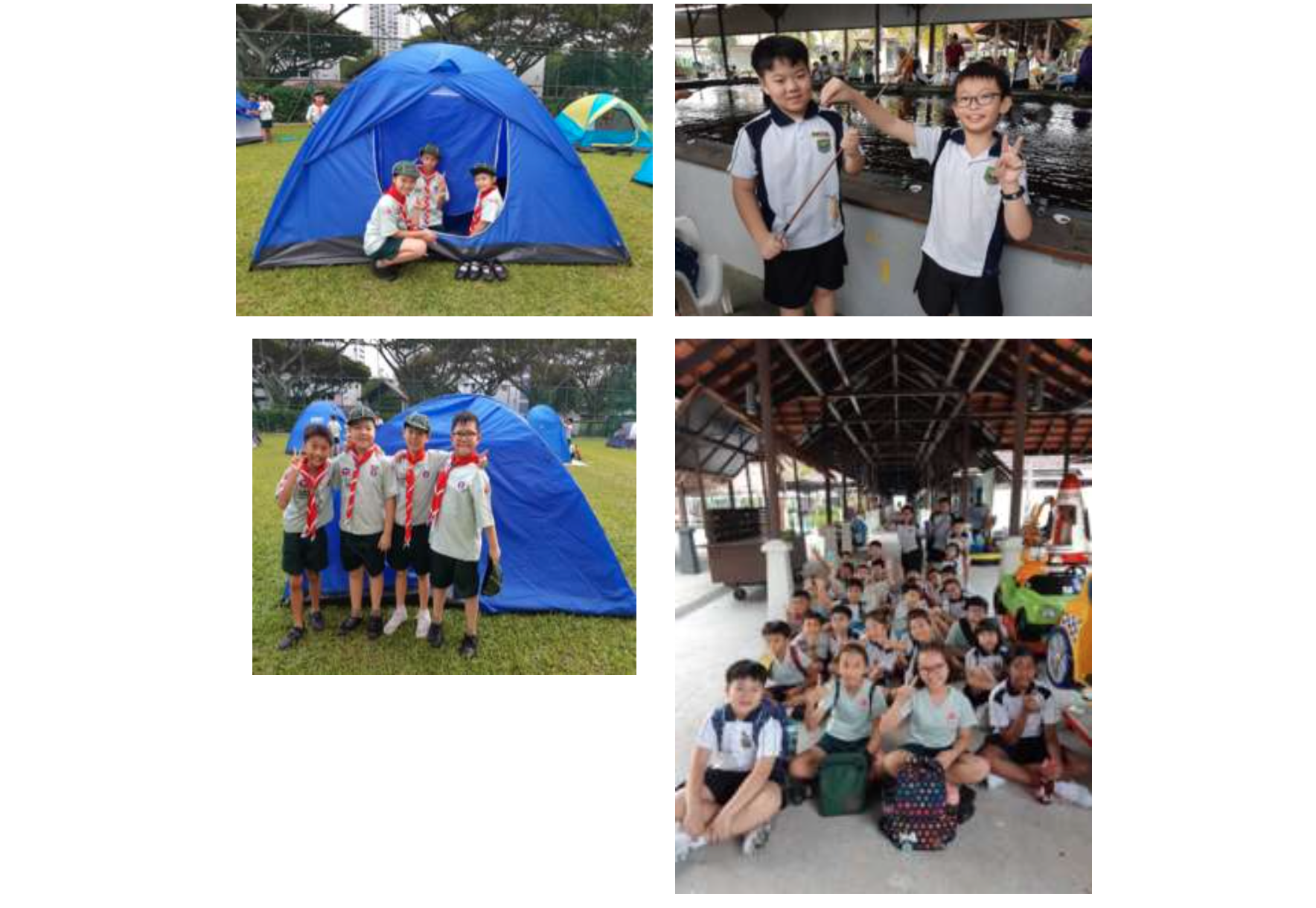 Four photos of young scouts camping with blue tents, fishing, posing in uniforms, and gathered under an open pavilion.